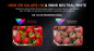 Preview: Acebeam-Pokelit-2AA-Taschenlampe-bei-Gatzetec 5000K