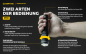 Preview: ARMYTEK-DOBERMANN-PRO-USB Gatzetec